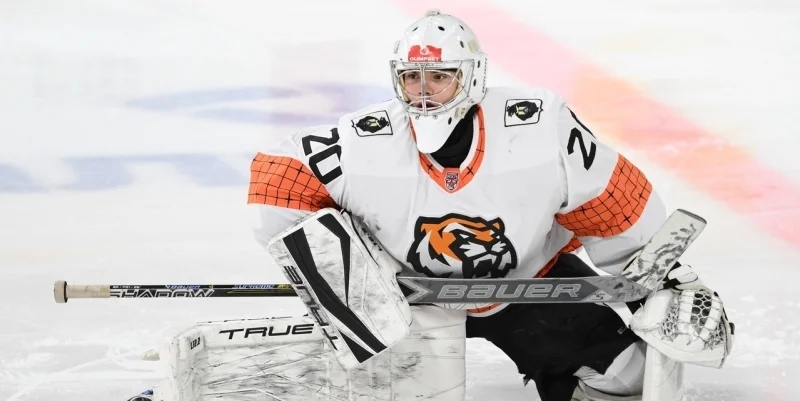 Амурские Тигры - Русские Витязи