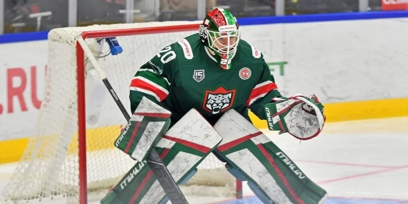 Химик - Барс