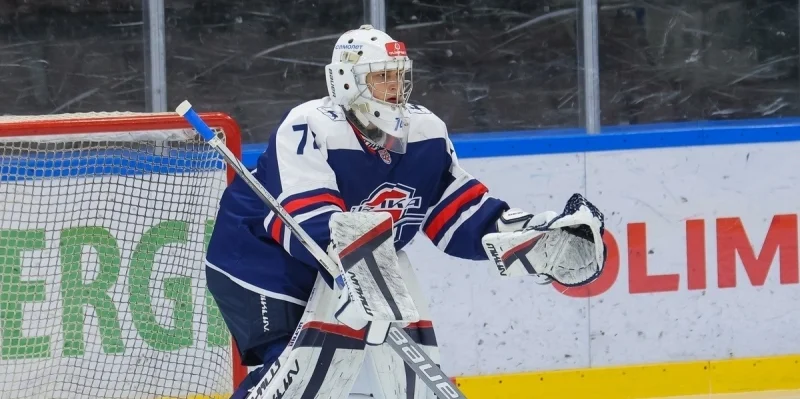 Чайка - Стальные Лисы