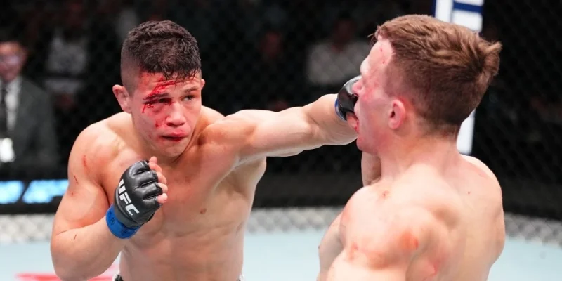 Роб Фонт - Джин Мацумото Роб Фонт - Джин Мацумото