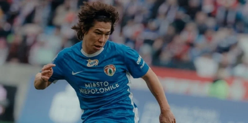 Корона - Пуща Неполомице Корона - Пуща Неполомице