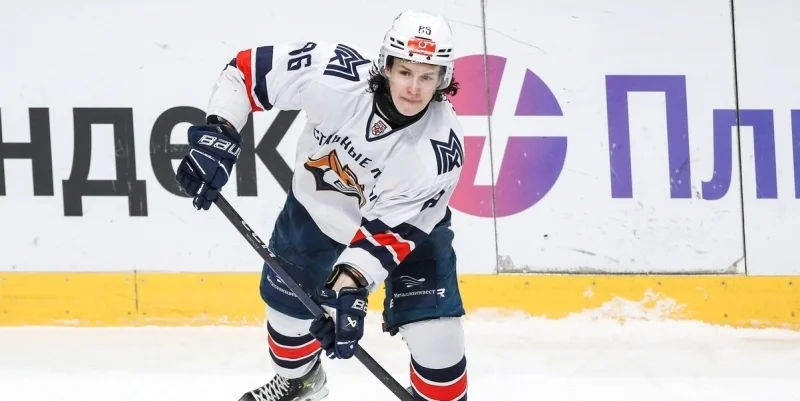 Стальные Лисы - Молот Стальные Лисы - Молот