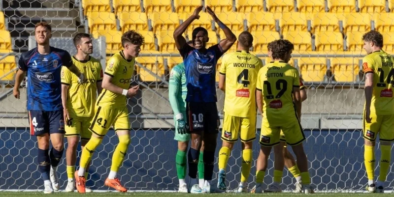 Ньюкасл Джетс - Веллингтон Феникс Ньюкасл Джетс - Веллингтон Феникс