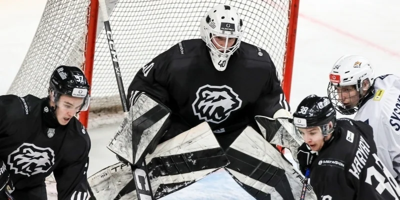 Белые Медведи - Чайка Белые Медведи - Чайка