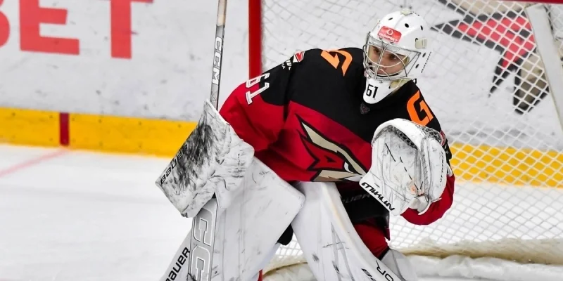 Омские Ястребы - Кузнецкие Медведи