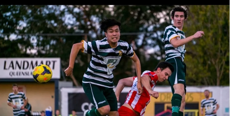 Квинсленд Лайонс - Голд Кост Квинсленд Лайонс - Голд Кост