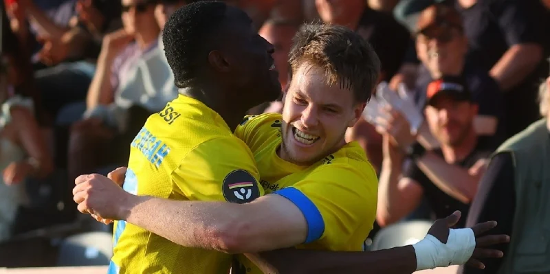 ВПС - Гнистан