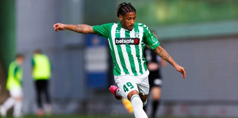 Жальгирис - Хегельманн Жальгирис - Хегельманн