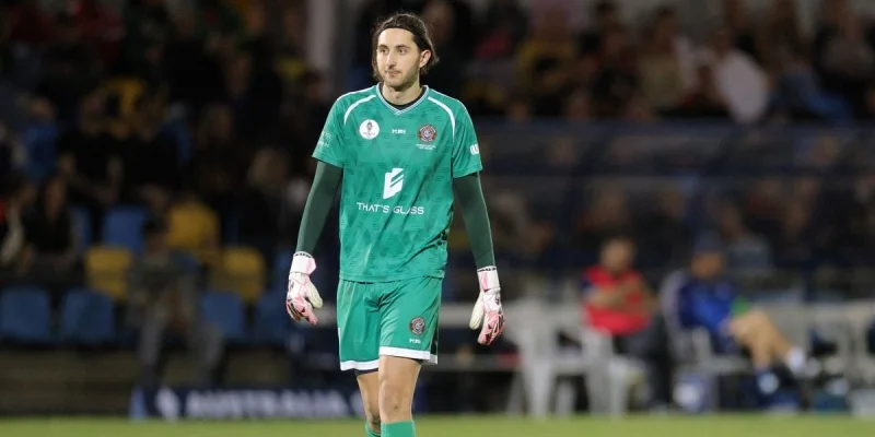 Пенинсула - Винниум Вулвз Пенинсула - Винниум Вулвз