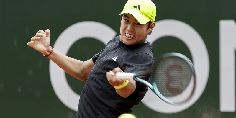 Николас Харри - Лернер Тьен Николас Харри - Лернер Тьен