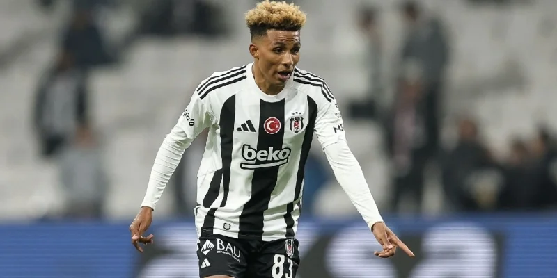 Вольфсбергер - Бешикташ