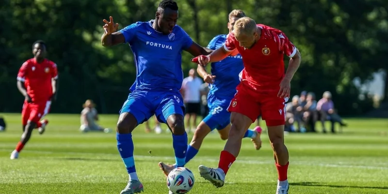 Видзев - Заглембе