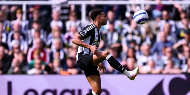 K-Лига Олл Старс - Ньюкасл K-Лига Олл Старс - Ньюкасл