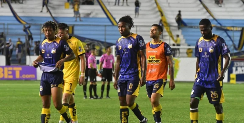 Дельфин - Винотинто Дельфин - Винотинто