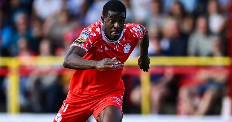 Шелбурн - Риека Шелбурн - Риека