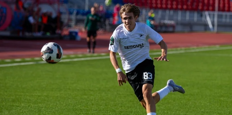 Чайка - Шинник