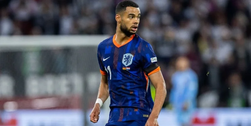 Нидерланды - Польша Нидерланды - Польша