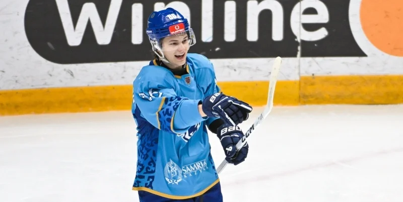 Снежные Барсы - АКМ-Новомосковск Снежные Барсы - АКМ-Новомосковск