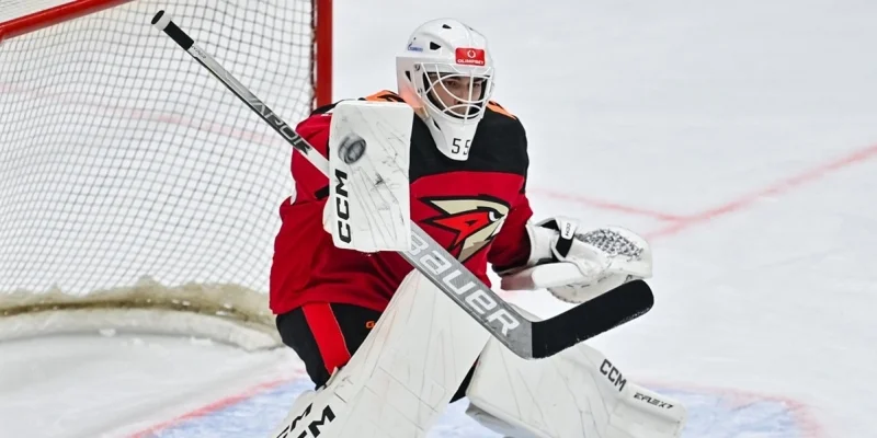 Омские Ястребы - Авто Екатеринбург