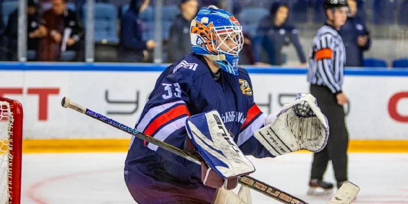 Стальные Лисы - Ирбис Казань Стальные Лисы - Ирбис Казань