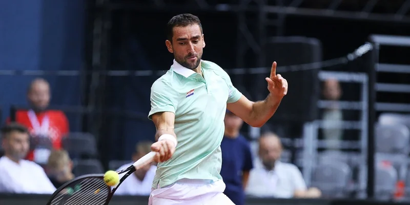 Марин Чилич - Корентен Муте Марин Чилич - Корентен Муте