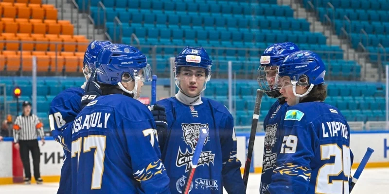 Спутник Альметьевск - Снежные Барсы