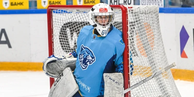 Спутник Альметьевск - Снежные Барсы