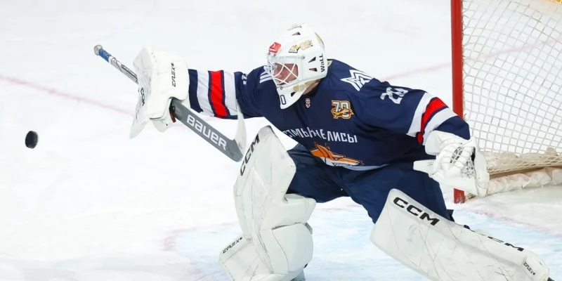 Толпар - Стальные Лисы