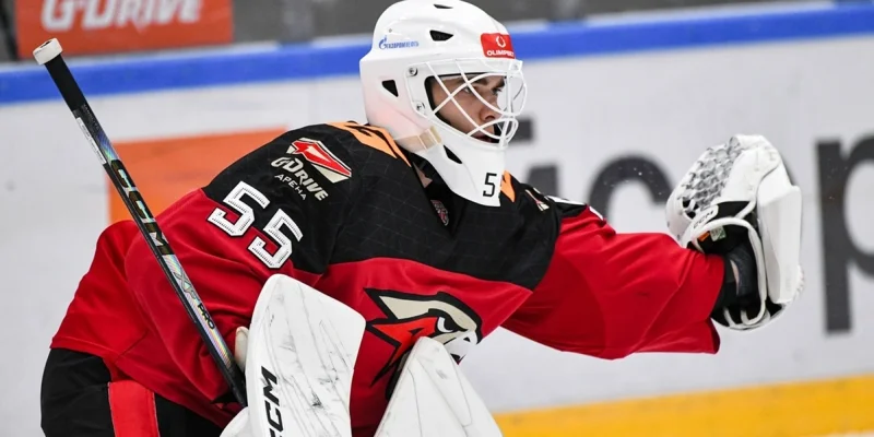 Ладья Тольятти - Омские Ястребы