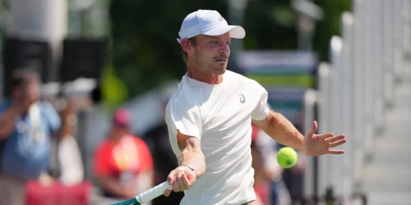 Александар Вукич - Давид Гоффен