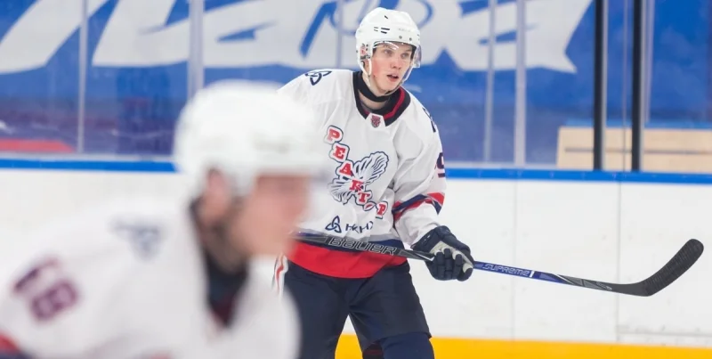 Реактор - Снежные Барсы