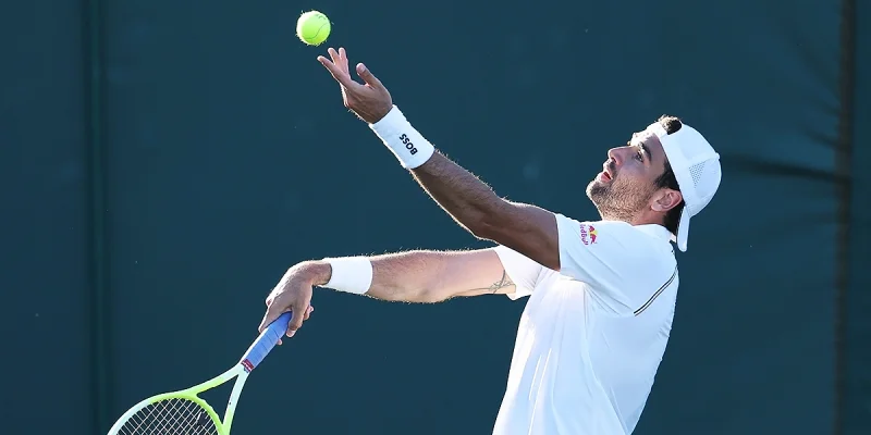 Маттео Берреттини - Далибор Сврчина