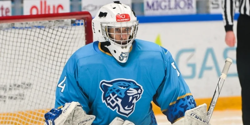 Реактор - Снежные Барсы