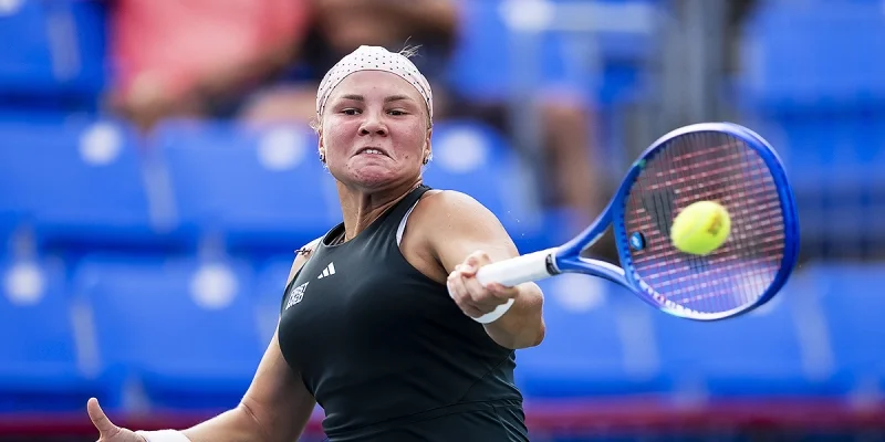 Диана Шнайдер - Майя Джойнт Диана Шнайдер - Майя Джойнт