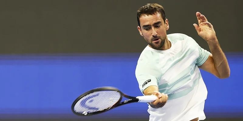 Марин Чилич - Николоз Басилашвили