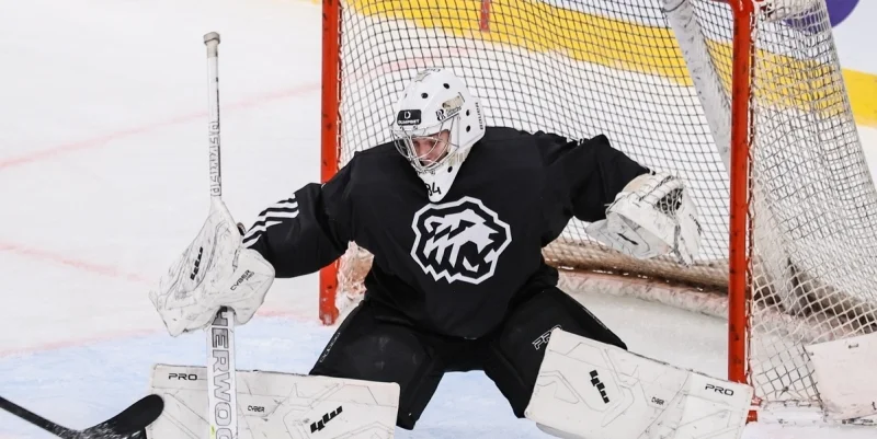 Белые Медведи - Реактор