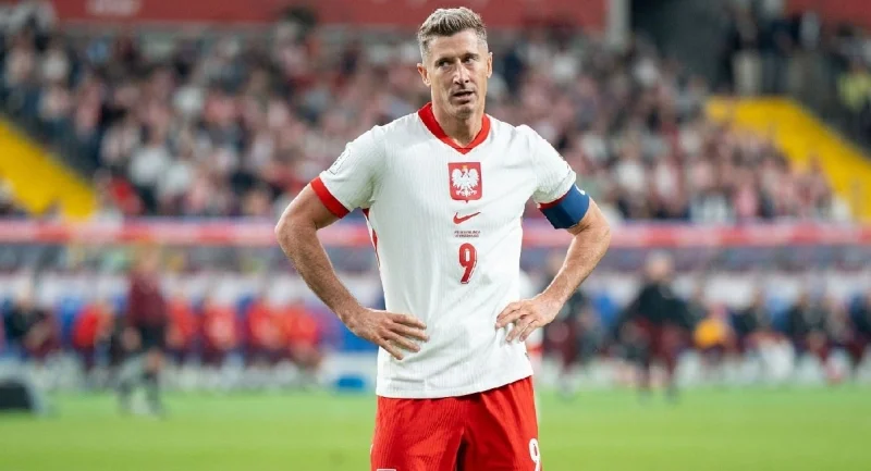 Польша - Новая Зеландия