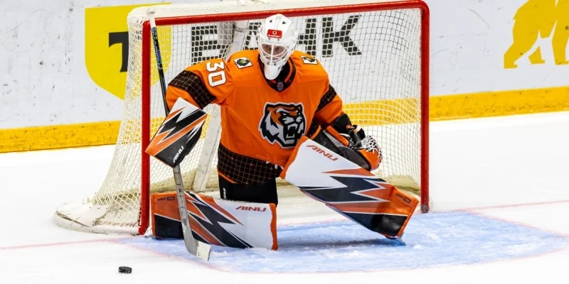 Амурские Тигры - Спартак МАХ Амурские Тигры - Спартак МАХ