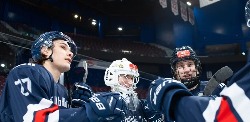 Стальные Лисы - Белые Медведи Стальные Лисы - Белые Медведи