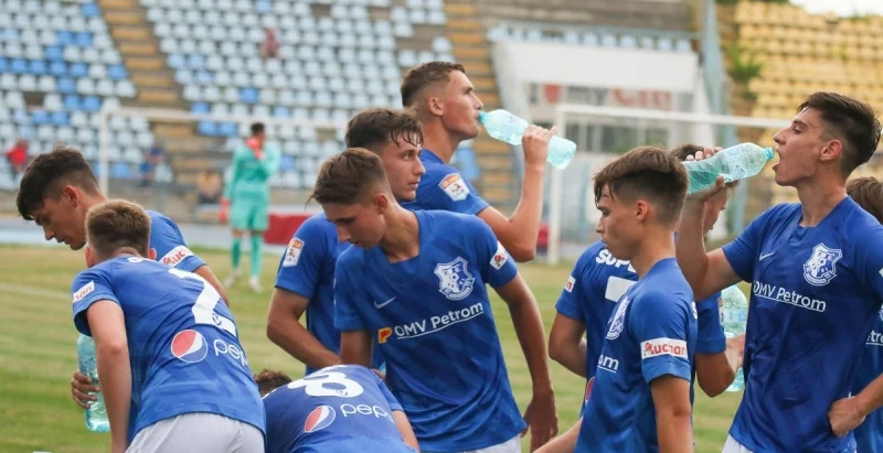 Фарул - Арджеш