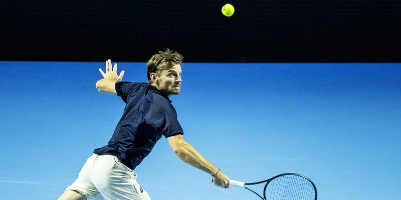 Давид Гоффен - Марин Чилич