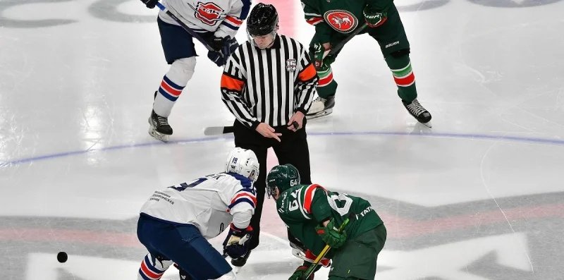 Ирбис Казань - Чайка