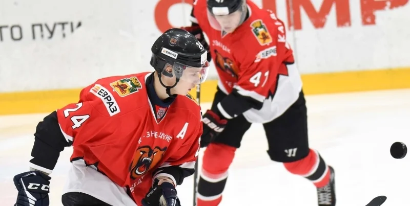 Кузнецкие Медведи - АКМ-Новомосковск