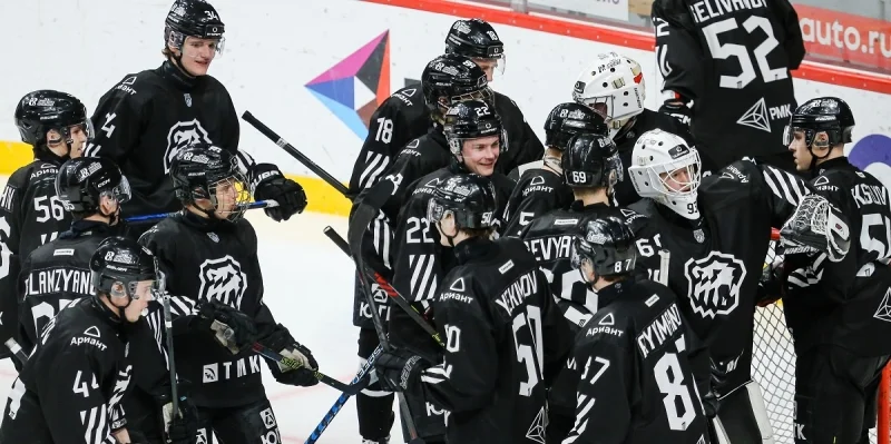 Белые Медведи - Чайка