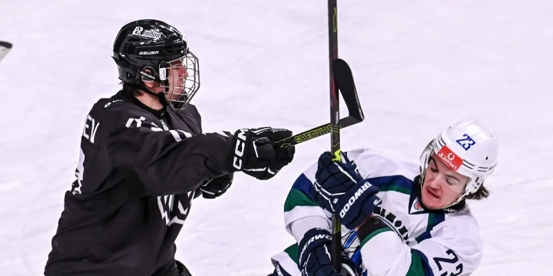 Белые Медведи - Чайка