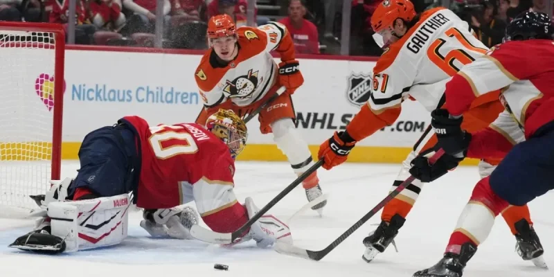 Сан-Хосе - Флорида