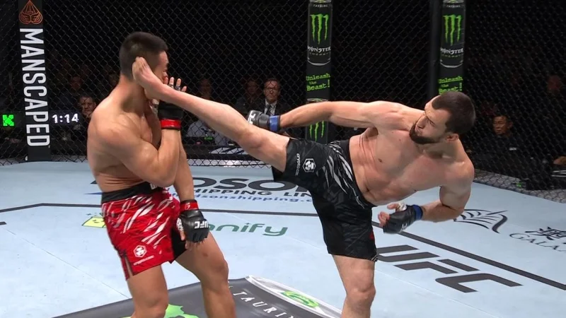 Муслим Салихов - Урош Медич