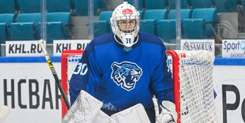 Снежные Барсы - Реактор