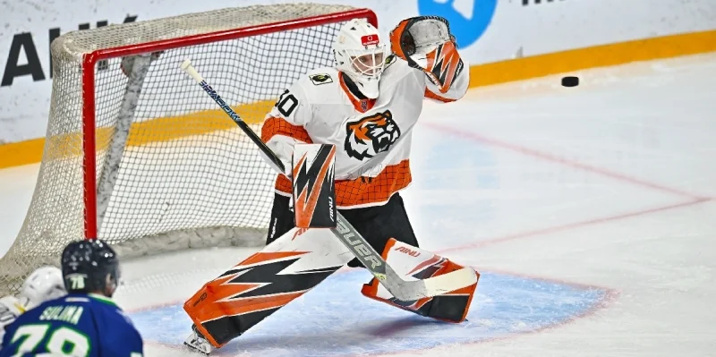 АКМ-Юниор - Амурские Тигры