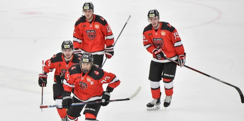 Молот - Чайка